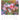 Der Duft der Rosen - Kalender 2026 KFP-B2C Alpha Edition