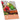 Wellensittiche - Kalender 2026 KFP-B2C Alpha Edition