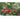 Gartenparadiese - Kalender 2026 KFP-B2C Alpha Edition