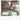 Blumen-Arrangements - Kalender 2027