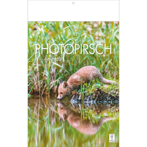 Photostalsch - Dierenkalender 2025