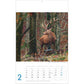 Photostalsch - Dierenkalender 2025