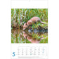 Photostalsch - Dierenkalender 2025