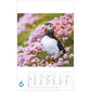 Photostalsch - Dierenkalender 2025