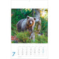 Photostalsch - Dierenkalender 2025