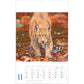 Photostalsch - Dierenkalender 2025