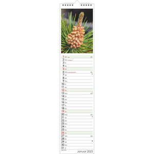 Wonder World Geneeskrachtige Planten Kalender 2025