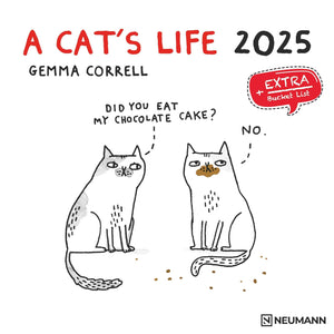 Het leven van een kat 2025