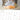 Funny Cats 2027