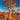GEO Faszination Natur 2027