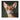 Tim Flach: Katzen 2027