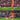 FC Bayern München Posterkalender 2027