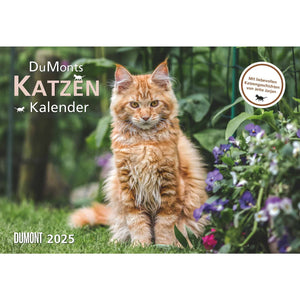 DuMont's kattenkalender 2025