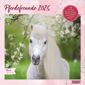 Paardenliefhebbers 2025