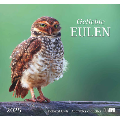 Geliefde Uilen 2025