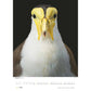 Tim Flach: Vogels 2025