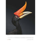 Tim Flach: Vogels 2025