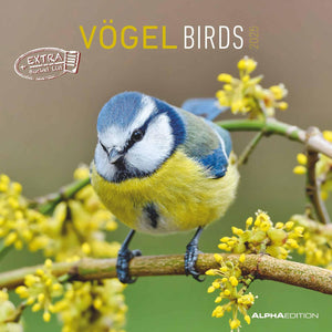 Vogels 2025