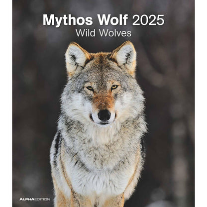 Mythewolf 2025