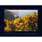 Wandkalender Bloomed 2025