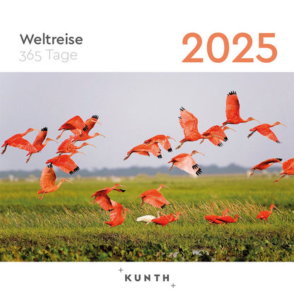 Afscheurkalender wereldreis 2025