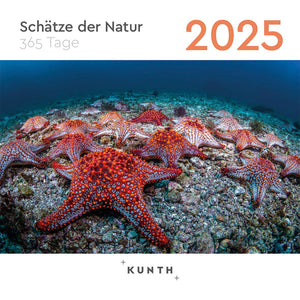 Afscheurkalender Treasures of Nature 2025