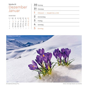 Ansichtkaartkalender Bloomed 2025