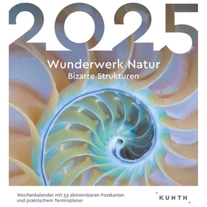 Ansichtkaartkalender Wonderwerk van de natuur (UT: Bizarre structuren)