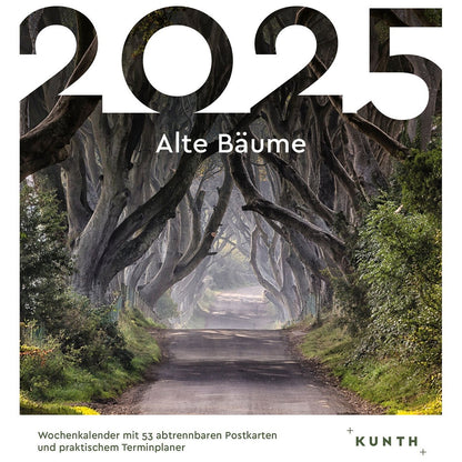 Ansichtkaartkalender Oude bomen