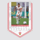 VfB Stuttgart bannerkalender 2025