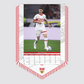 VfB Stuttgart bannerkalender 2025