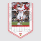 VfB Stuttgart bannerkalender 2025